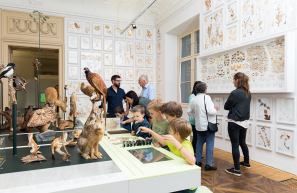 Kinder und Erwachsene schauen Ausstellungsstücke im Naturkundemuseum an. Ausgestellt sind ausgestopfte Tiere. An der Wand hängen getrocknete Pflanzenteile.